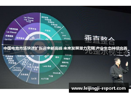 中国电竞市场快速扩张迎来新高峰 未来发展潜力无限 产业生态持续完善