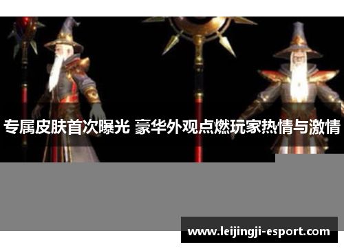 专属皮肤首次曝光 豪华外观点燃玩家热情与激情
