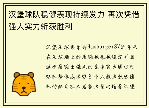 汉堡球队稳健表现持续发力 再次凭借强大实力斩获胜利