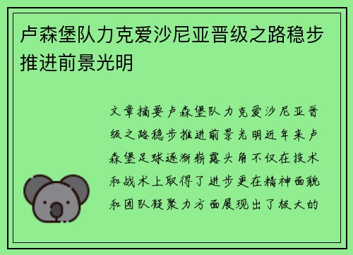 卢森堡队力克爱沙尼亚晋级之路稳步推进前景光明