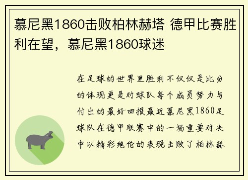 慕尼黑1860击败柏林赫塔 德甲比赛胜利在望，慕尼黑1860球迷