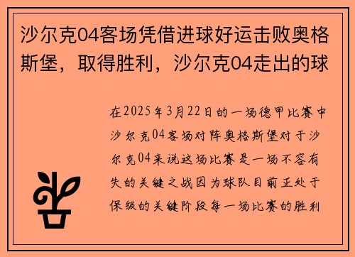 沙尔克04客场凭借进球好运击败奥格斯堡，取得胜利，沙尔克04走出的球星