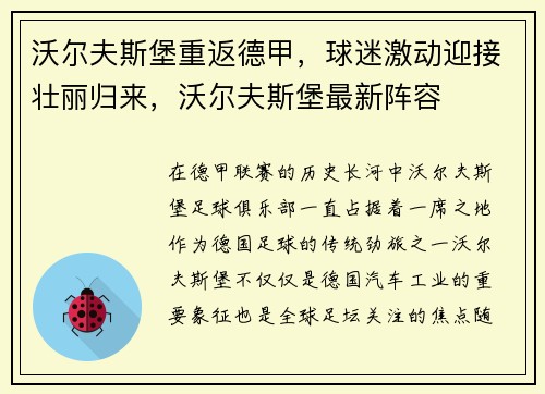 沃尔夫斯堡重返德甲，球迷激动迎接壮丽归来，沃尔夫斯堡最新阵容